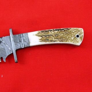Ram's Horn Bowie Knife